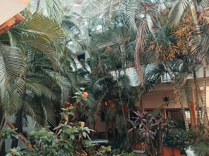 Guest house Tulipanes Zihuatanejo