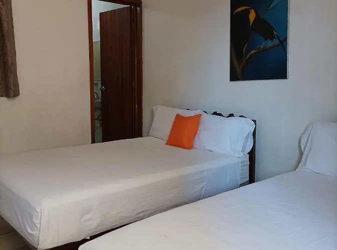 Pensión Tulipanes Zihuatanejo
