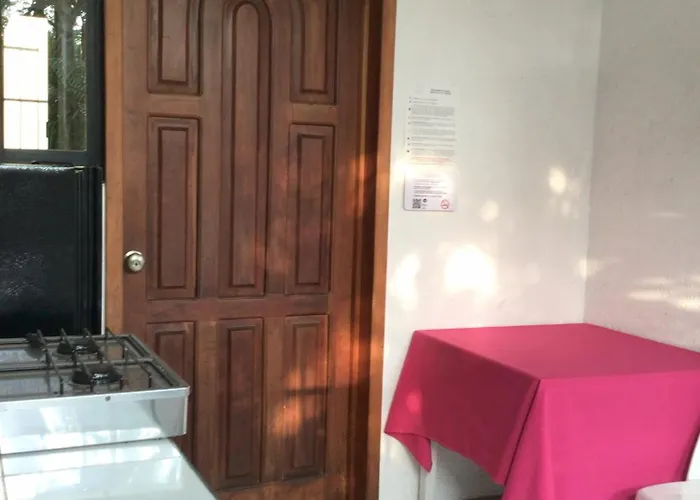 Guest house Tulipanes 3*