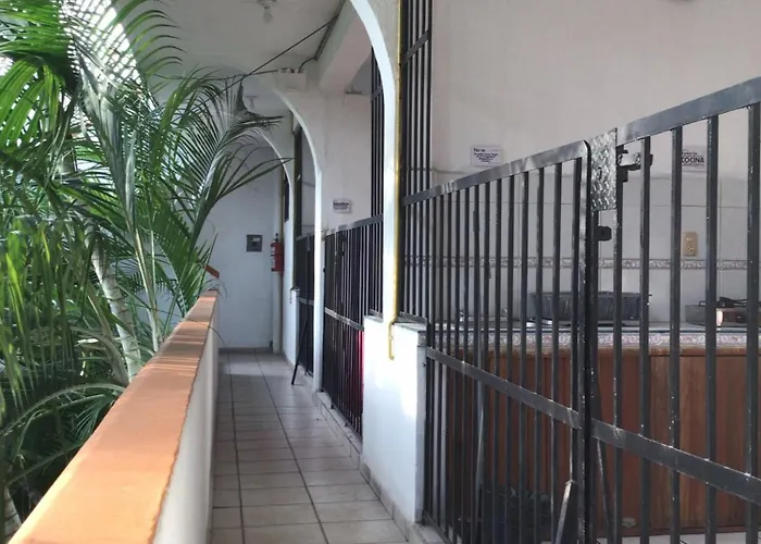 Guest house Tulipanes 3*