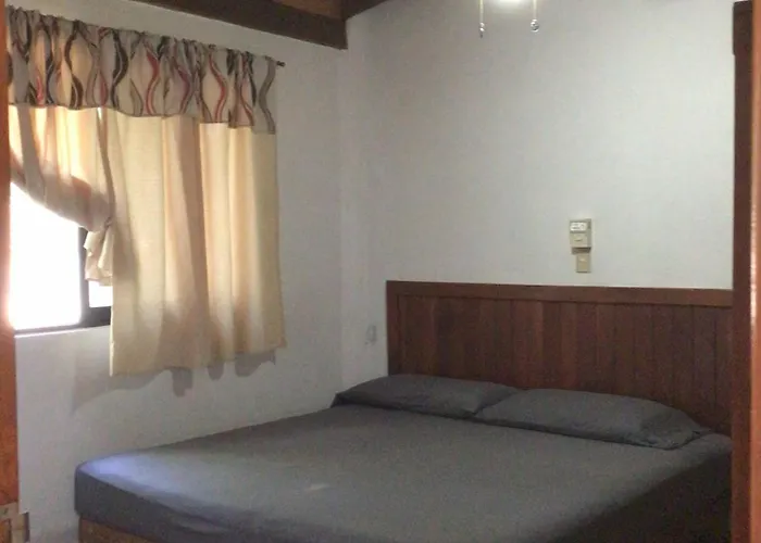 Guest house Tulipanes