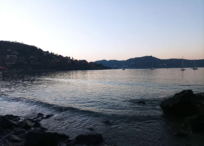 Tulipanes Pensión Zihuatanejo
